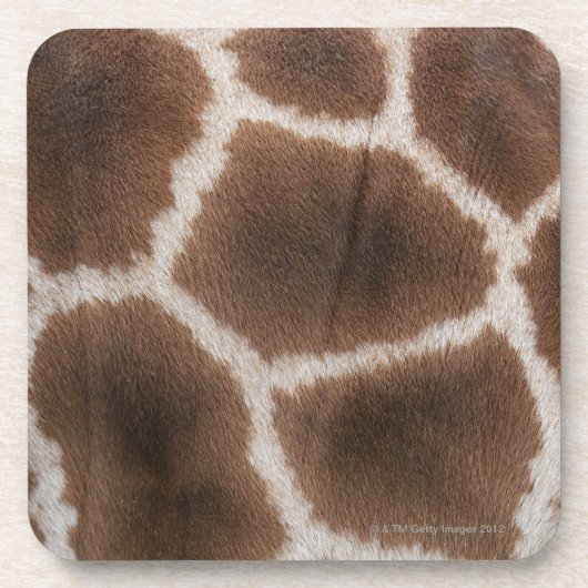 Sluiting van de Giraffe Huid Bier Onderzetter (Voorkant)