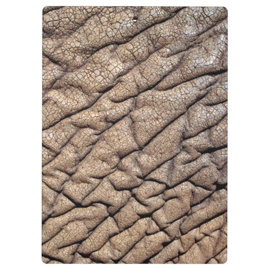 Sluiting van de huidskleur van de Afrikaanse olifa Klembord (Achterkant)