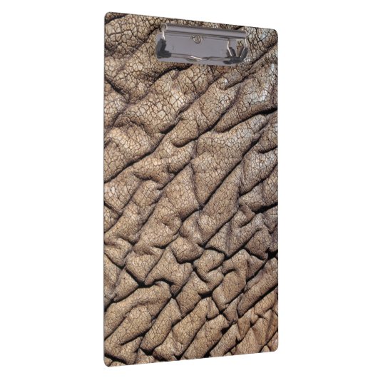 Sluiting van de huidskleur van de Afrikaanse olifa Klembord (Rechts)