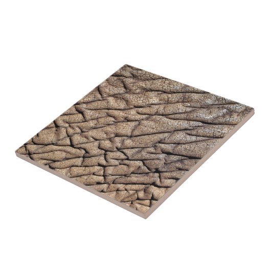 Sluiting van de huidskleur van de Afrikaanse olifa Tegeltje (Zijkant)