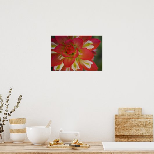 Sluiting van de Indiase schildpenseel bij Gay Hill Poster (Keuken)