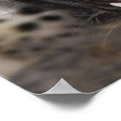 Sluiting van de luipaard poster (Hoek)