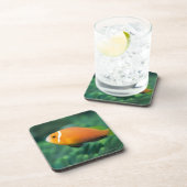 Sluiting van de Maldiven Anemone fish, Maldiven 2 Drankjes Onderzetter (Rechterzijde)