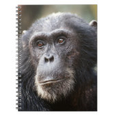 Sluiting van de mannelijke chimpansee notitieboek (Voorkant)