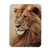 Sluiting van de mannelijke leeuw magneet (Verticaal)