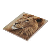 Sluiting van de mannelijke leeuw tegeltje (Zijkant)