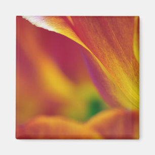 Sluiting van de onderkant van de tulpbloem, 4 magneet