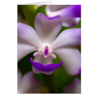 sluiting van de Orchid Flower
