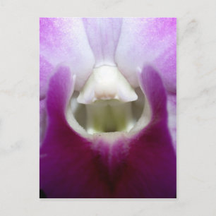 sluiting van de Orchid Flower Briefkaart