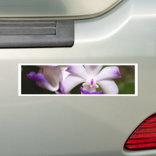 sluiting van de Orchid Flower Bumpersticker (Op auto)