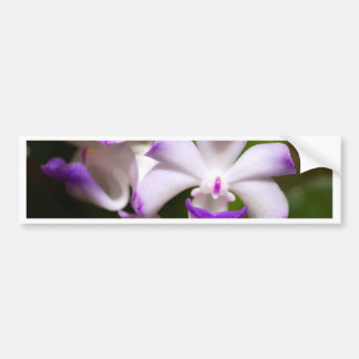 sluiting van de Orchid Flower Bumpersticker