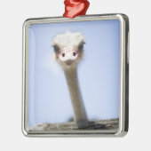 Sluiting van de Ostrich-hoofdstad Metalen Ornament (Links)