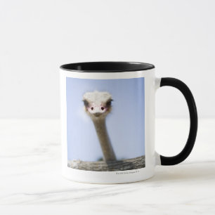Sluiting van de Ostrich-hoofdstad Mok