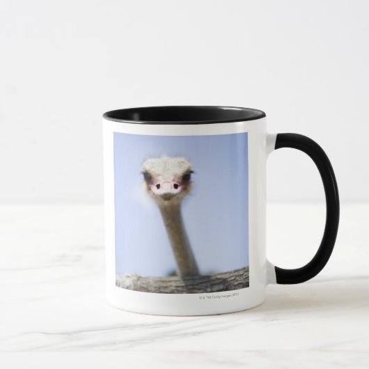 Sluiting van de Ostrich-hoofdstad Mok (Rechts)