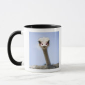 Sluiting van de Ostrich-hoofdstad Mok (Links)