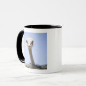 Sluiting van de Ostrich-hoofdstad Mok (Voorkant links)