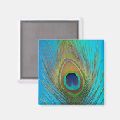 Sluiting van de pauw magneet (Voorkant / Achterkant)