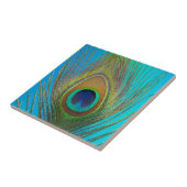 Sluiting van de pauw tegeltje (Zijkant)