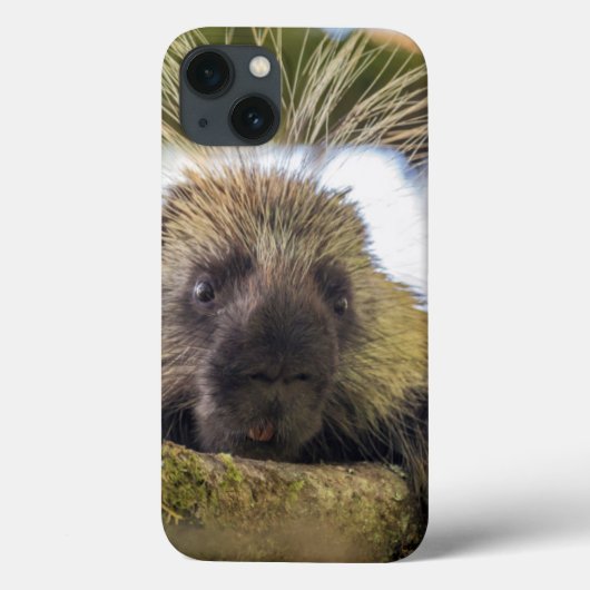 Sluiting van de porcupine in een boom Case-Mate iPhone case (Achterkant)