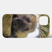 Sluiting van de porcupine in een boom Case-Mate iPhone case (Achterkant (horizontaal))