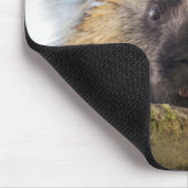 Sluiting van de porcupine in een boom muismat (Hoek)