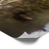 Sluiting van de porcupine in een boom poster (Hoek)