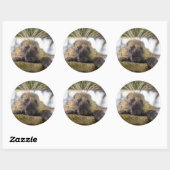 Sluiting van de porcupine in een boom ronde sticker (Vel)