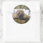 Sluiting van de porcupine in een boom ronde sticker (Tas)