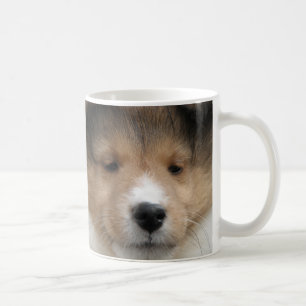 Sluiting van de puppy face van Shetland sheepdog o Koffiemok