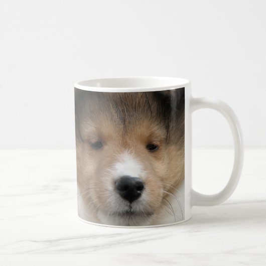 Sluiting van de puppy face van Shetland sheepdog o Koffiemok (Rechts)