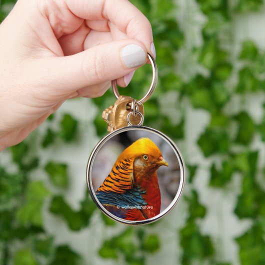 Sluiting van de Rode Golden Pheasant Gamebird Sleutelhanger (Hand)