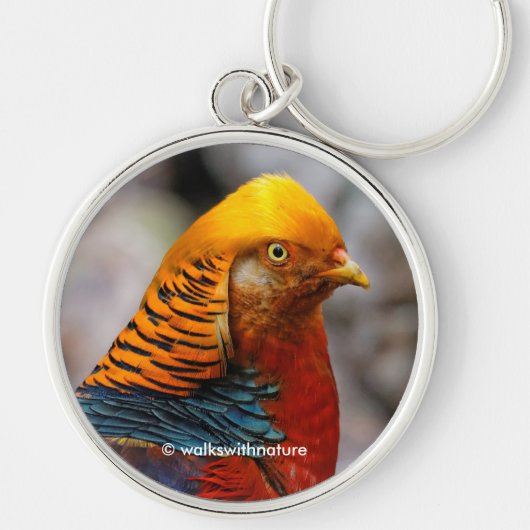Sluiting van de Rode Golden Pheasant Gamebird Sleutelhanger (Voorkant)