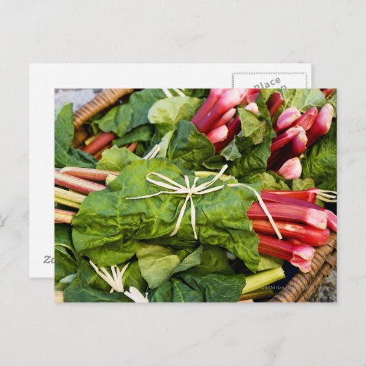 Sluiting van de rubarbbundels in de mand briefkaart (Voorkant / Achterkant)