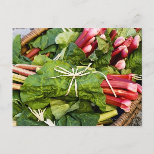 Sluiting van de rubarbbundels in de mand briefkaart (Voorkant)