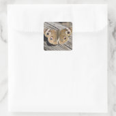 Sluiting van de speenvlinder (Junonia) Vierkante Sticker (Tas)