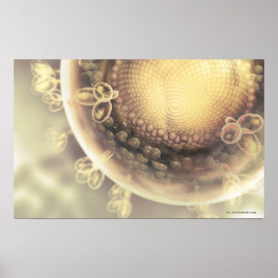 Sluiting van de structuur van een HIV-cel Poster