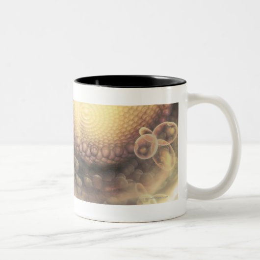 Sluiting van de structuur van een HIV-cel Tweekleurige Koffiemok (Rechts)