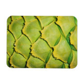 Sluiting van de textuur en het patroon van de trop magneet (Horizontaal)
