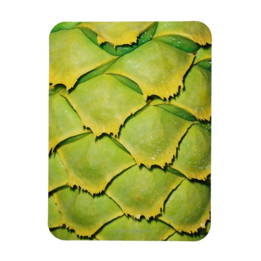 Sluiting van de textuur en het patroon van de trop magneet (Verticaal)