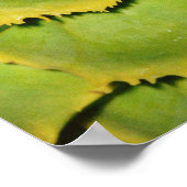 Sluiting van de textuur en het patroon van de trop poster (Hoek)