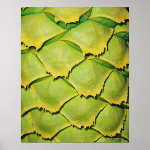 Sluiting van de textuur en het patroon van de trop poster