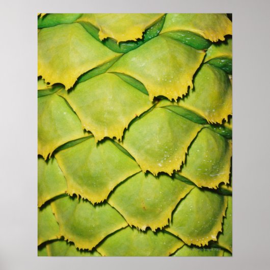 Sluiting van de textuur en het patroon van de trop poster (Voorkant)
