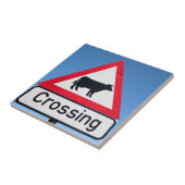 Sluiting van de veestapel. Westerne cape Tegeltje (Zijkant)