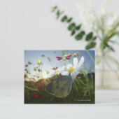Sluiting van de vlinder op bloemen briefkaart (Staand voorkant)