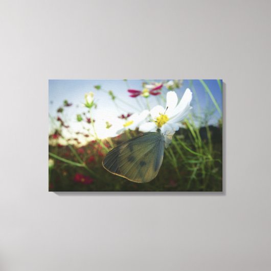 Sluiting van de vlinder op bloemen canvas afdruk (Voorkant)