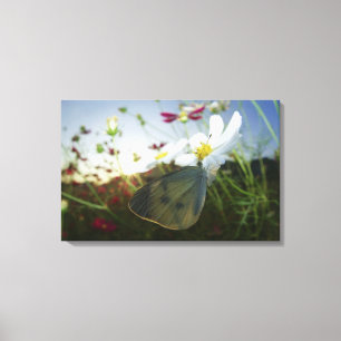 Sluiting van de vlinder op bloemen canvas afdruk