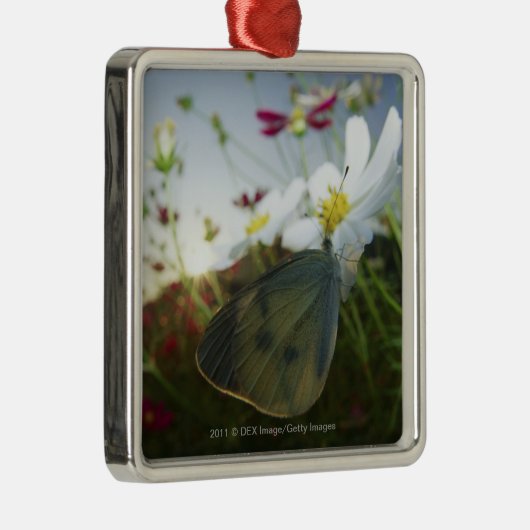 Sluiting van de vlinder op bloemen metalen ornament (Rechts)