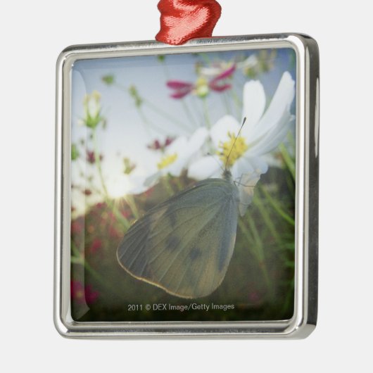 Sluiting van de vlinder op bloemen metalen ornament (Links)