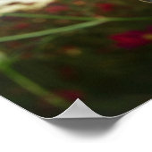 Sluiting van de vlinder op bloemen poster (Hoek)