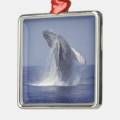 Sluiting van de walvis (Megaptera Metalen Ornament (Links)